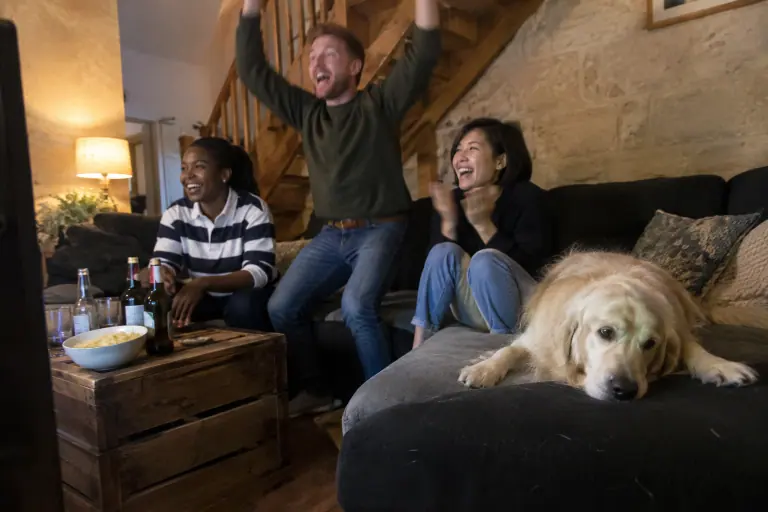 Dans une maison bordelaise en pierre, trois amis regardent un match de rugby sur un canapé d’angle noir et gris, un golden retriever sur la méridienne